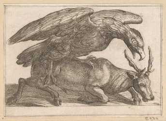 Un grande uccello attacca un cervo (serie: Animali combattenti)