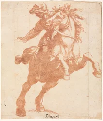 Cavallo impennato e cavaliere