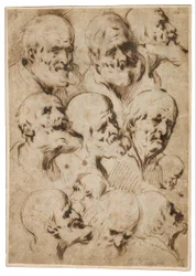 Studio delle teste degli apostoli
