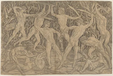 Battaglia dei nudi