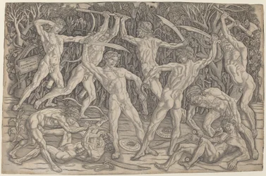 Battaglia dei nudi