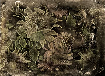 Artfloral n.5-2, 2015 (foto)