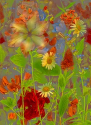Artfloral n.5 discorso di primavera, 2016 (foto)