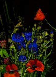 Bouquet originale, 2025 (foto)