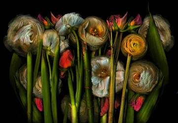 Earthart flora n.3, 2024 (foto)