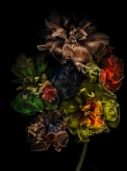Fiori 13-1, 2025 (foto)