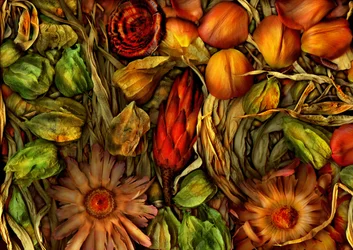 Giardino magico-giungla 3, 2013 (foto)
