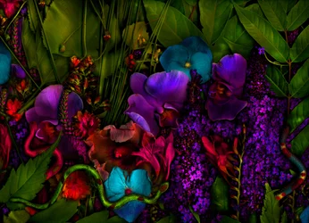 Giardino magico n.27-3, 2011 (foto)