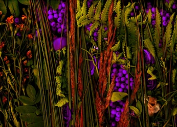 Giardino magico n.39-3, 2019 (foto)