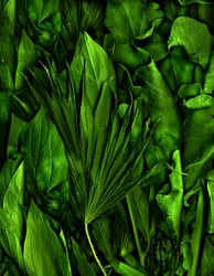 Giardino magico n.6-3, 2020 (foto)