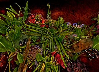 Natura morta m 3, 2014 (foto)