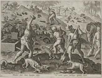 Caccia al tasso