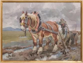 Lavorare nei campi