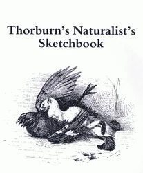 Pagina del titolo (Stoat e Gamebird), pub. da Book Club Associates