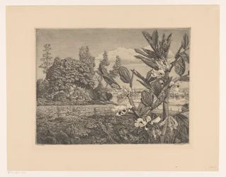 Paesaggio con fiori