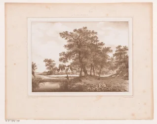 Veduta di una strada di campagna e di un fosso