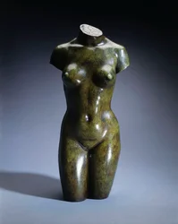 Torso di una giovane donna