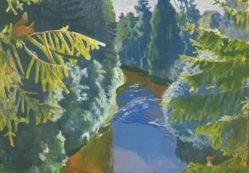 Fiume nella foresta