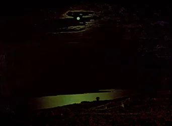 Notte al chiaro di luna sul Dnepr, 1882