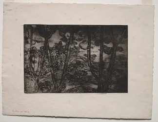 Alberi di notte, c. 1894