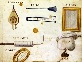 Illustrazioni da 