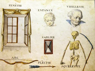 Illustrazioni da 