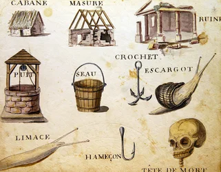 Illustrazioni da 