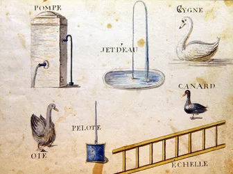 Illustrazioni da 
