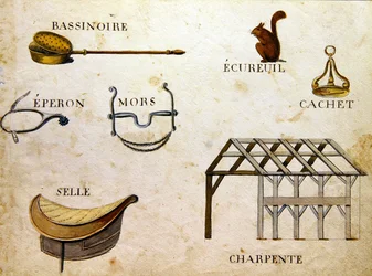 Illustrazioni da 