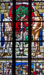 Cattedrale di Sainte-Marie, Auch, Gers, 2018 (vetrata)