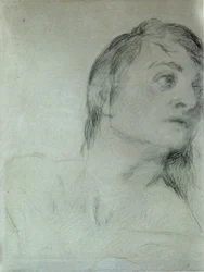 Testa di un Tritone