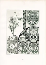 Ornamenti a margherita in verde (litografia)