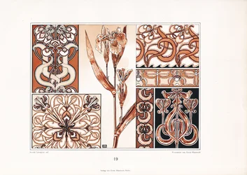 Modelli di ornamento Iris nei toni del marrone (litografia)