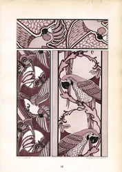 Bordure ornamentali con cacatua e pappagalli (litografia)