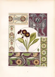 Motivi di primule e variazioni di ornamenti floreali (litografia)