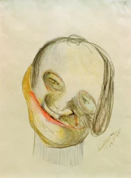 Caricatura 8