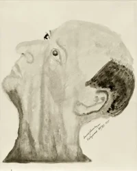 Autoritratto