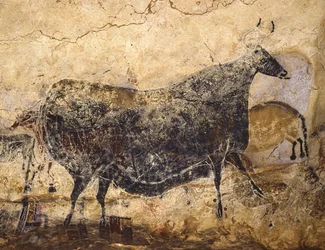 Mucca nera. Pittura rupestre di Lascaux, ca. 16.000-15.000 a.C.