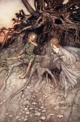 Io sono quel felice vagabondo della notte, illustrazione da 
