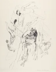 Uomini uccello