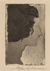 Profilo