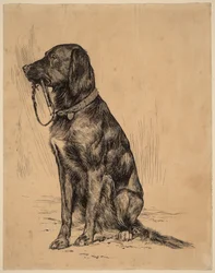 Il cane di Aldrich, fine 1880 (inchiostro su carta)