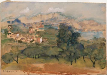 Ulivi