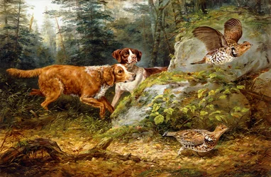 Flushed: Caccia al gallo cedrone, 1857