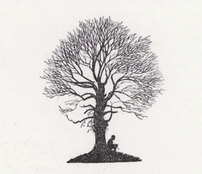 Le foglie stanno cadendo; così anch
