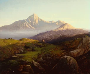 Bovini delle Highlands in un Paesaggio Montuoso