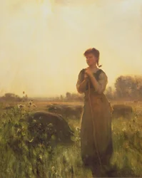 La ragazza della fattoria