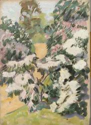 Fioritura