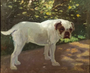 Un bulldog su un sentiero del giardino