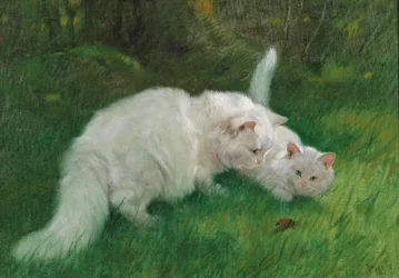 Arthur Heyer Interessante scoperta nel 1923